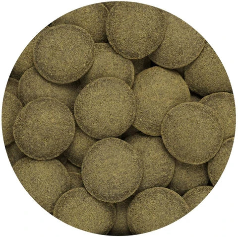 Hikari Algae wafers | Bottom feeders