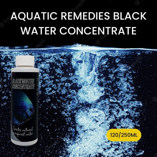 Black water concentrate