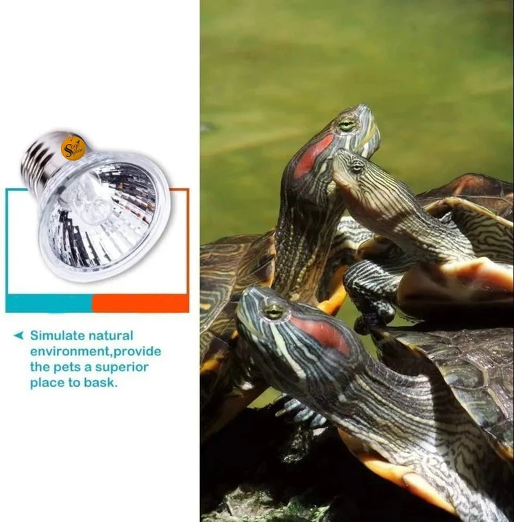 Turtle UV Lamp 50w with stand