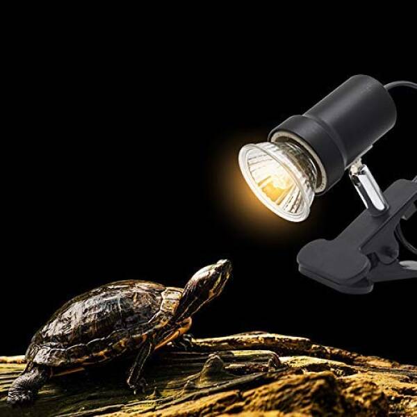 Turtle UV Lamp 50w with stand