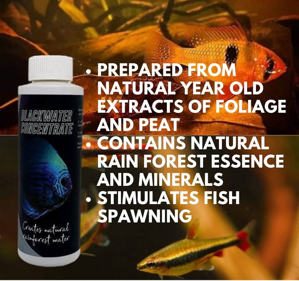Black water concentrate