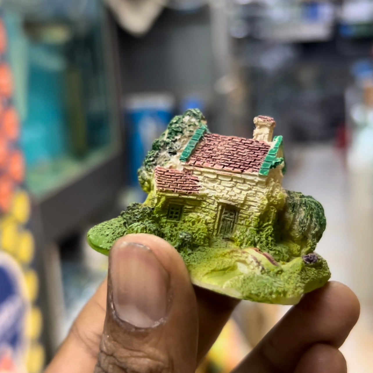 Mini house toy | random - single