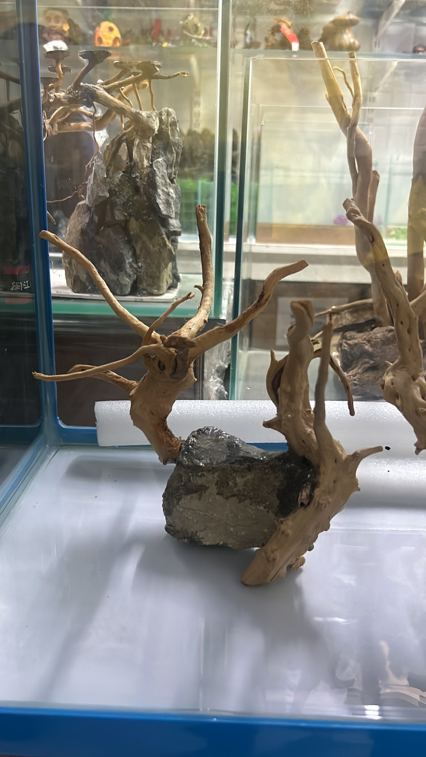 Customised Driftwood | small | Random design