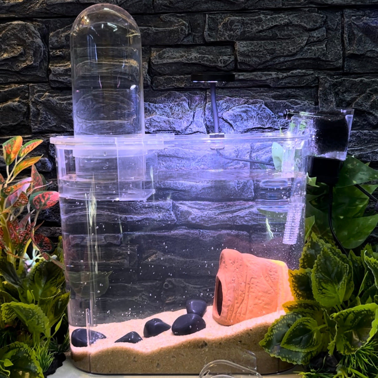 Bluepet BL 10V | betta tank | Floating aqua tower
