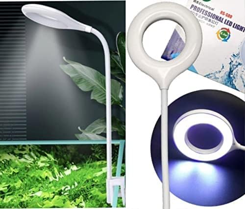 RS S80 Bowl Light
