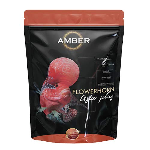 Amber Asta Plus