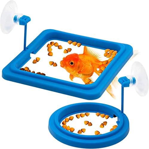 Food feeding Ring