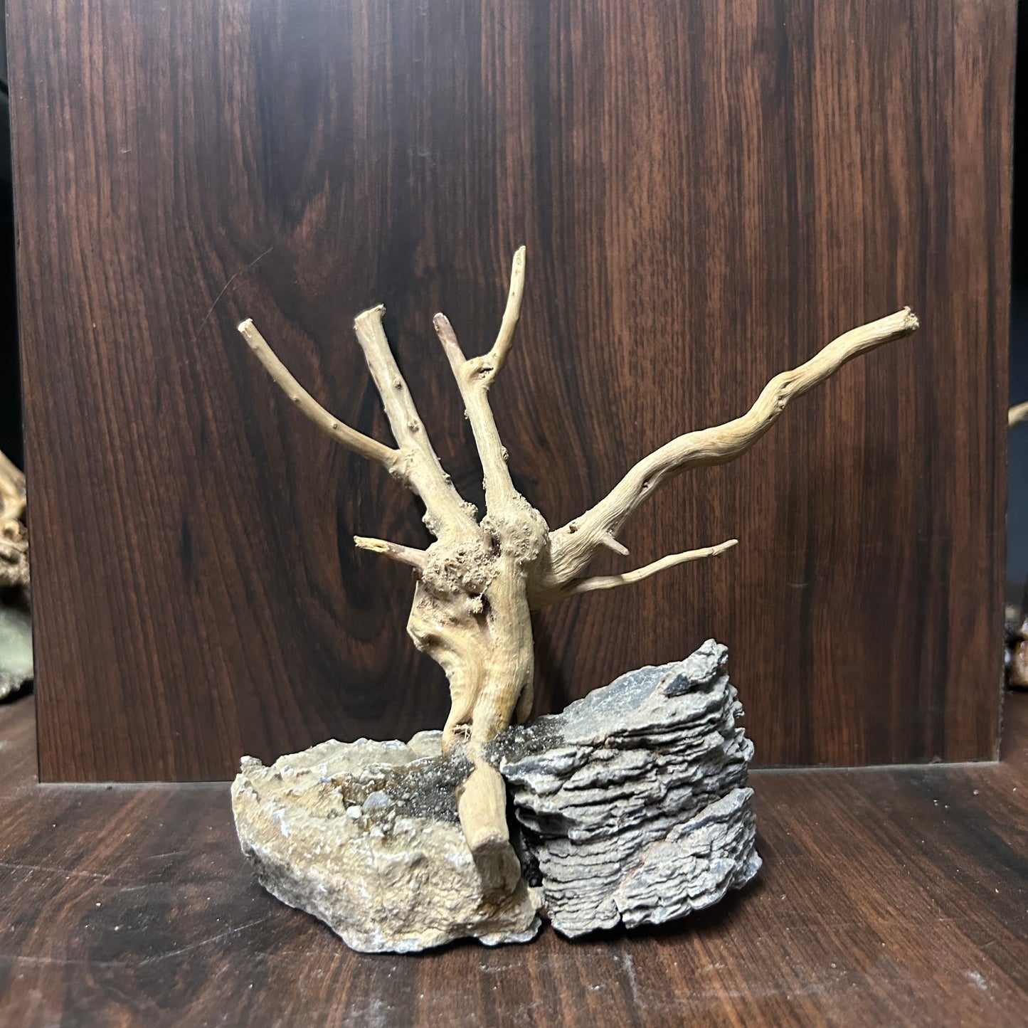 Customised Driftwood | small | Random design