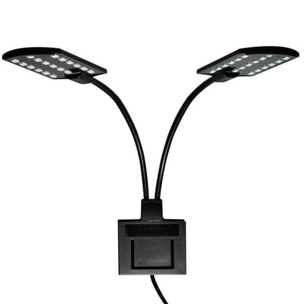 Dual Light