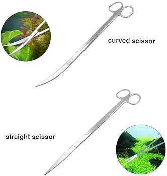 Straight Scissor