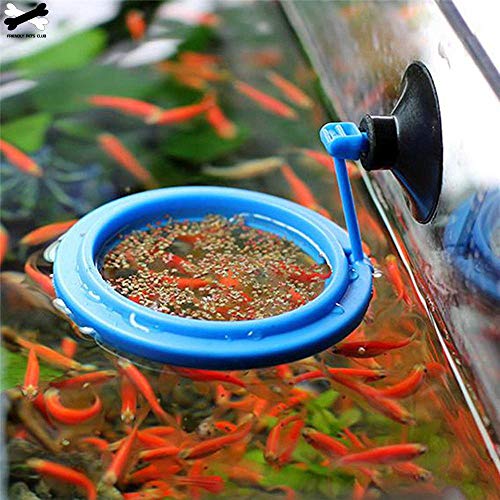 Food feeding Ring