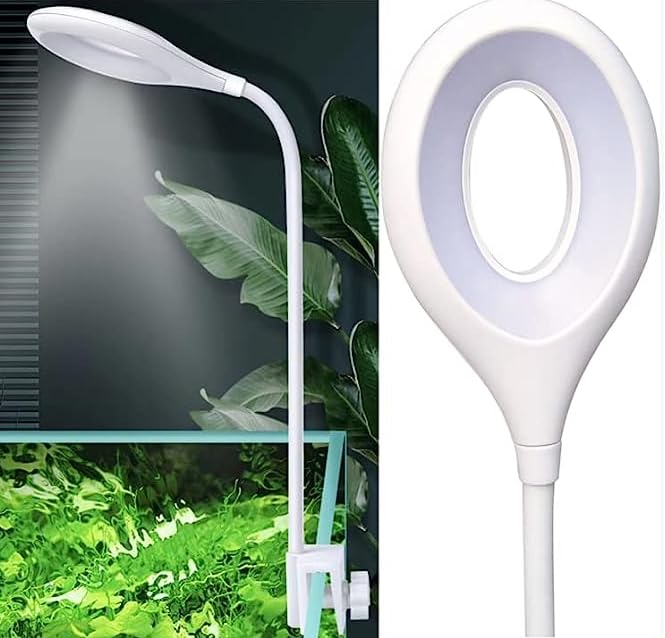RS S60 Bowl light