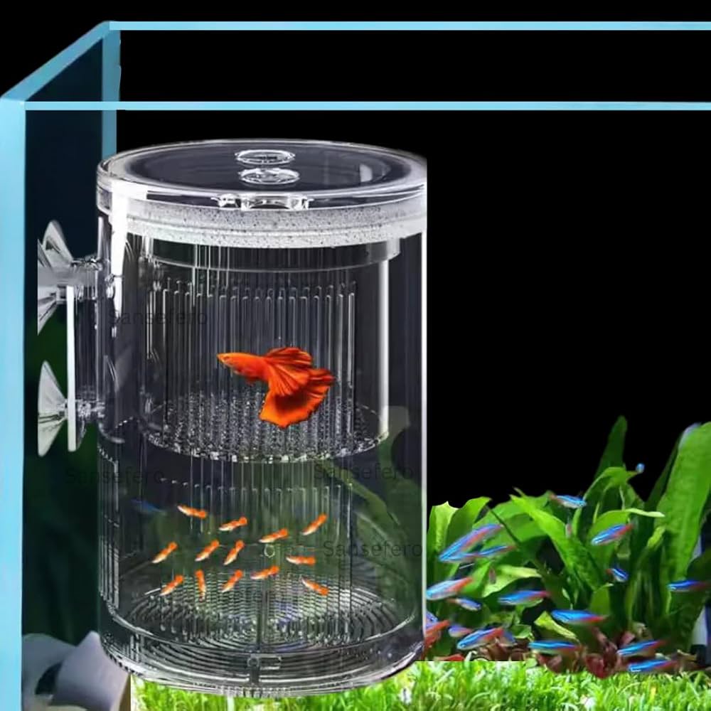 Isolation box/ breeding box Cylindrical – Veda Aquarium