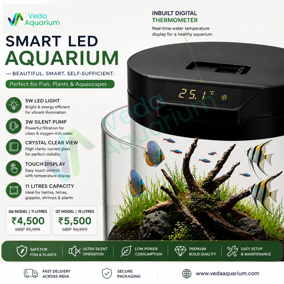 Bluepet Q6 Cylindrical Fish Tank | Modern Round Aquarium