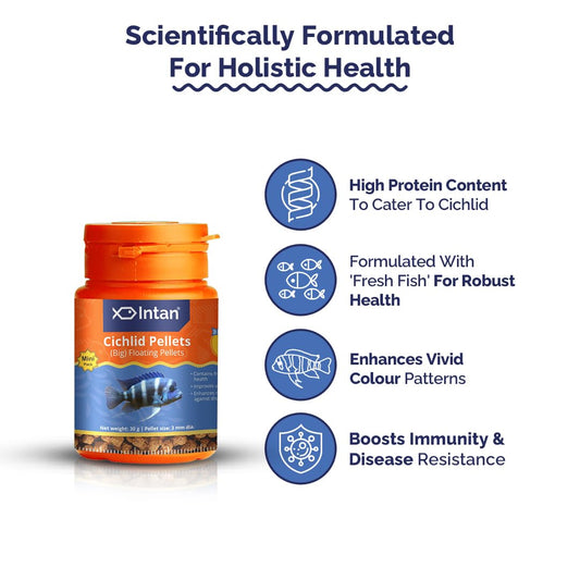 Intan Cichlid Pellets (3mm dia)
