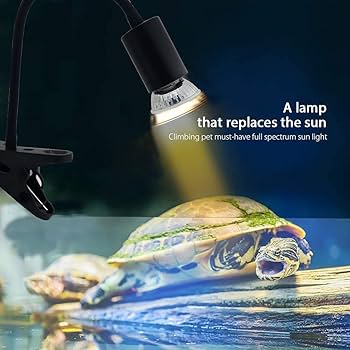 Turtle UV Lamp 50w with stand