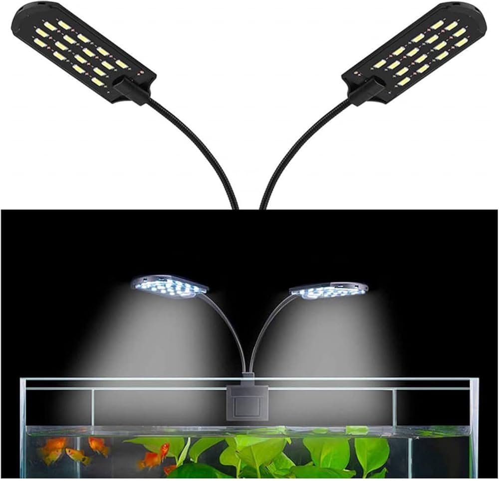 Dual Light