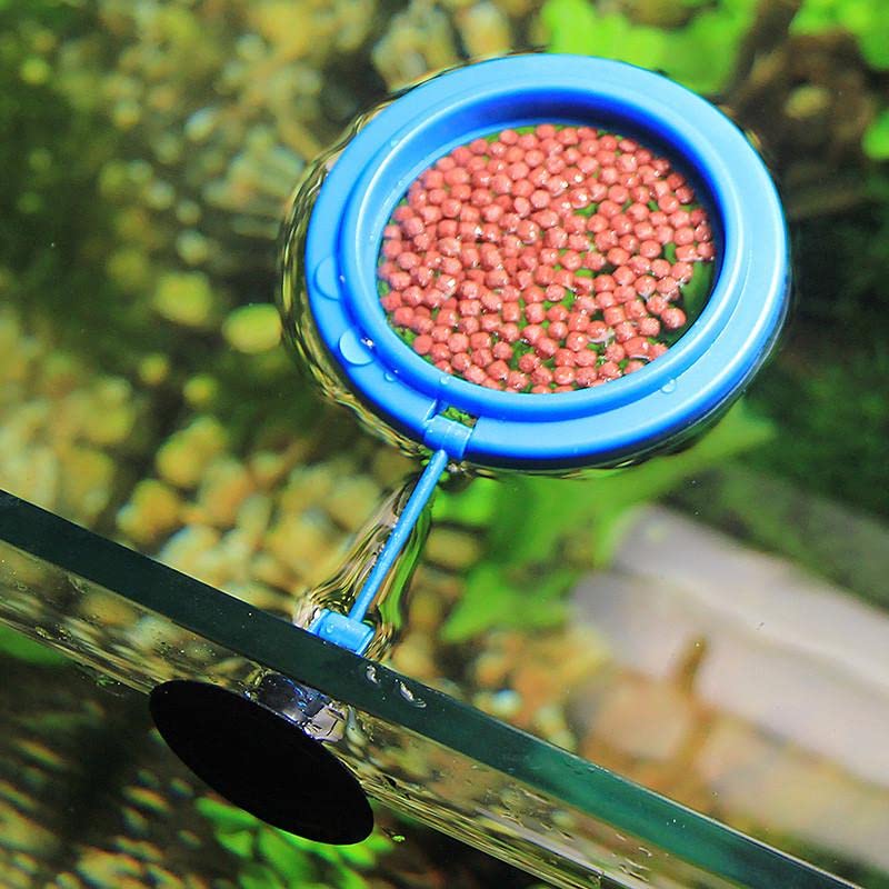 Food feeding Ring