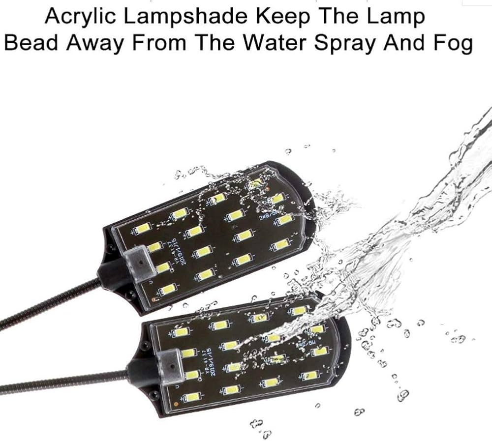 Dual Light