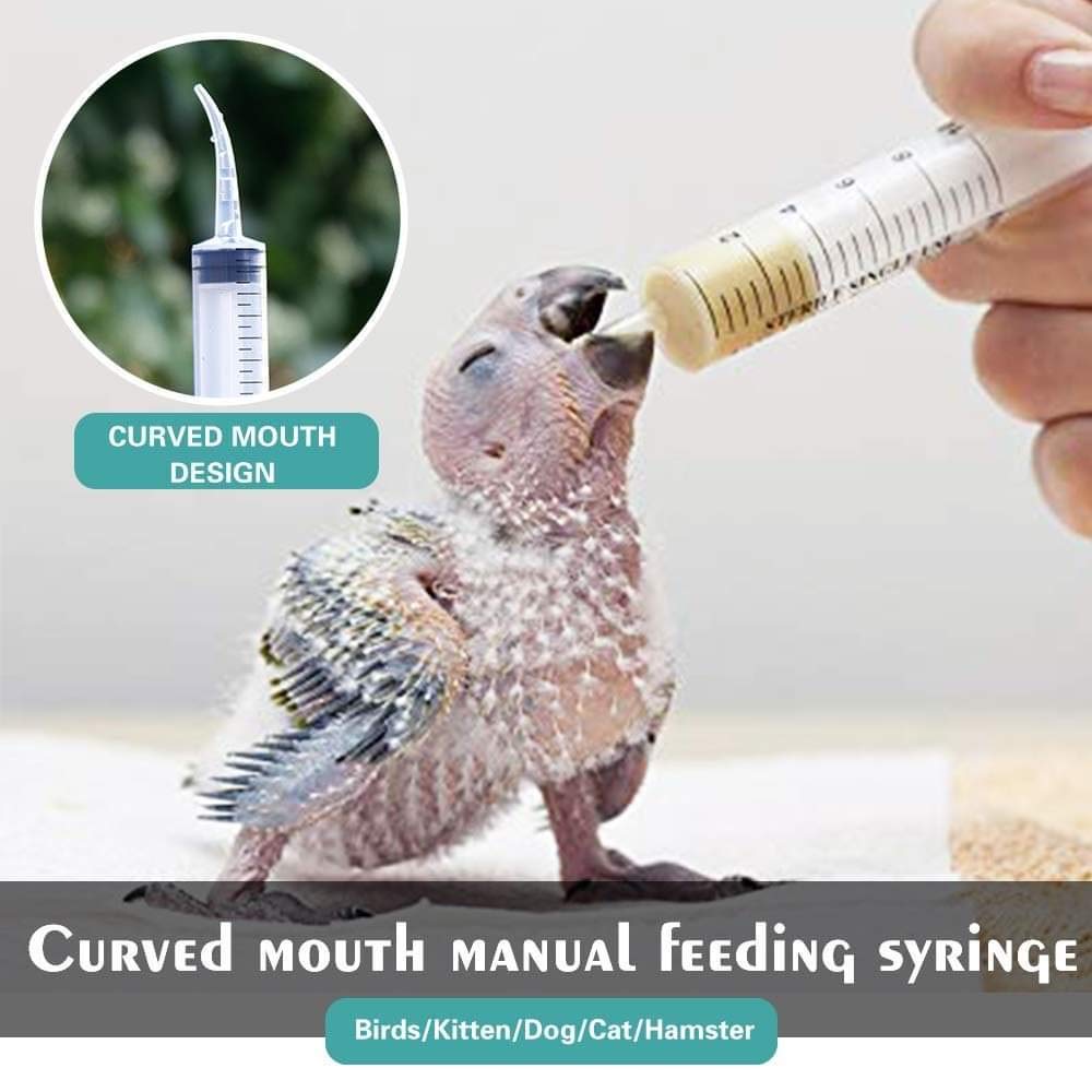 Feeding Siringe