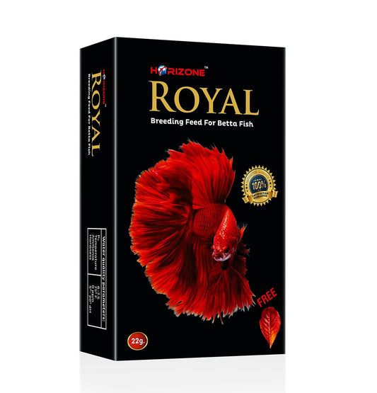 Royal betta Food