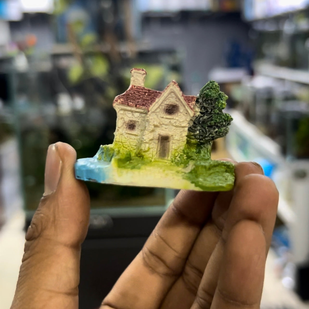 Mini house toy | random - single