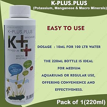 K plus plus
