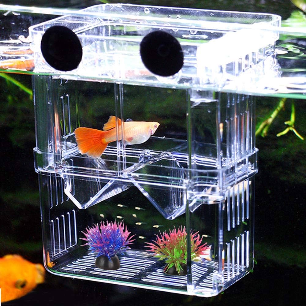 Isolation Box | Small Breeding Box