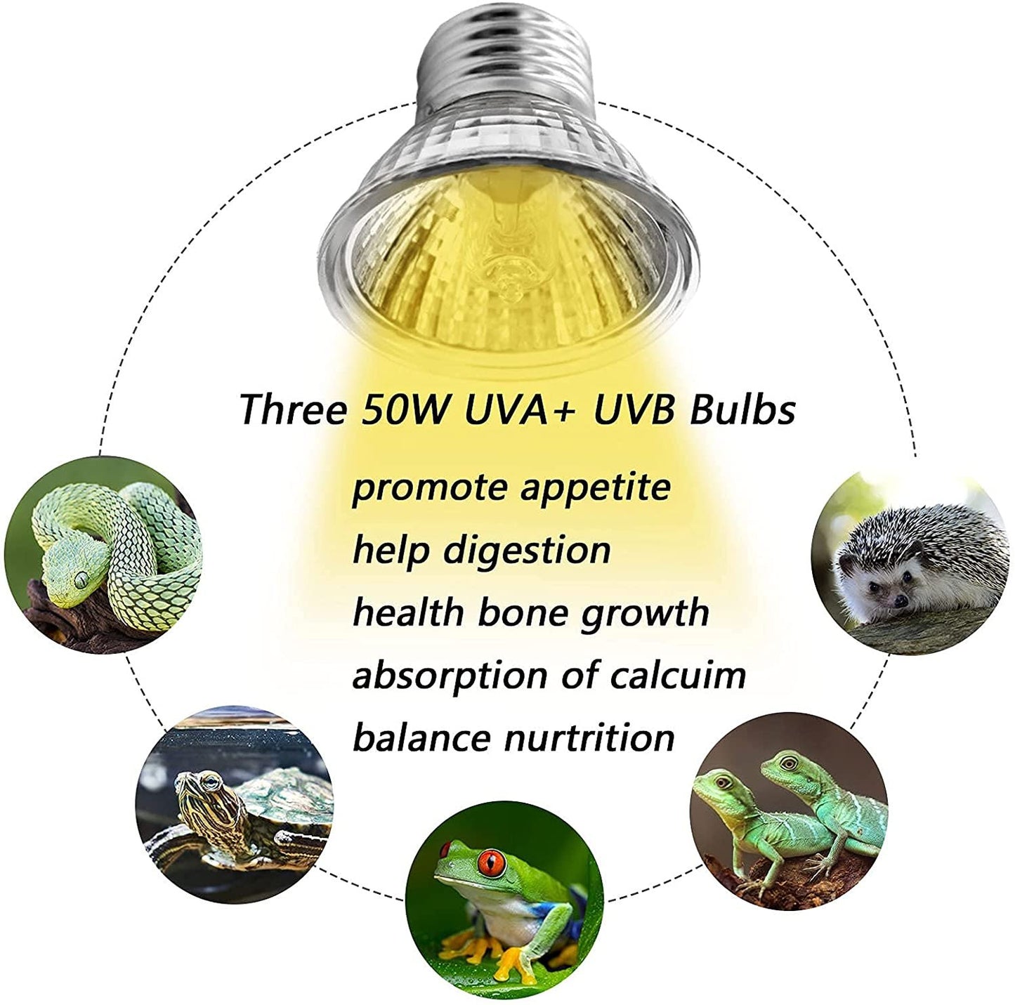 Turtle UV Lamp 50w with stand