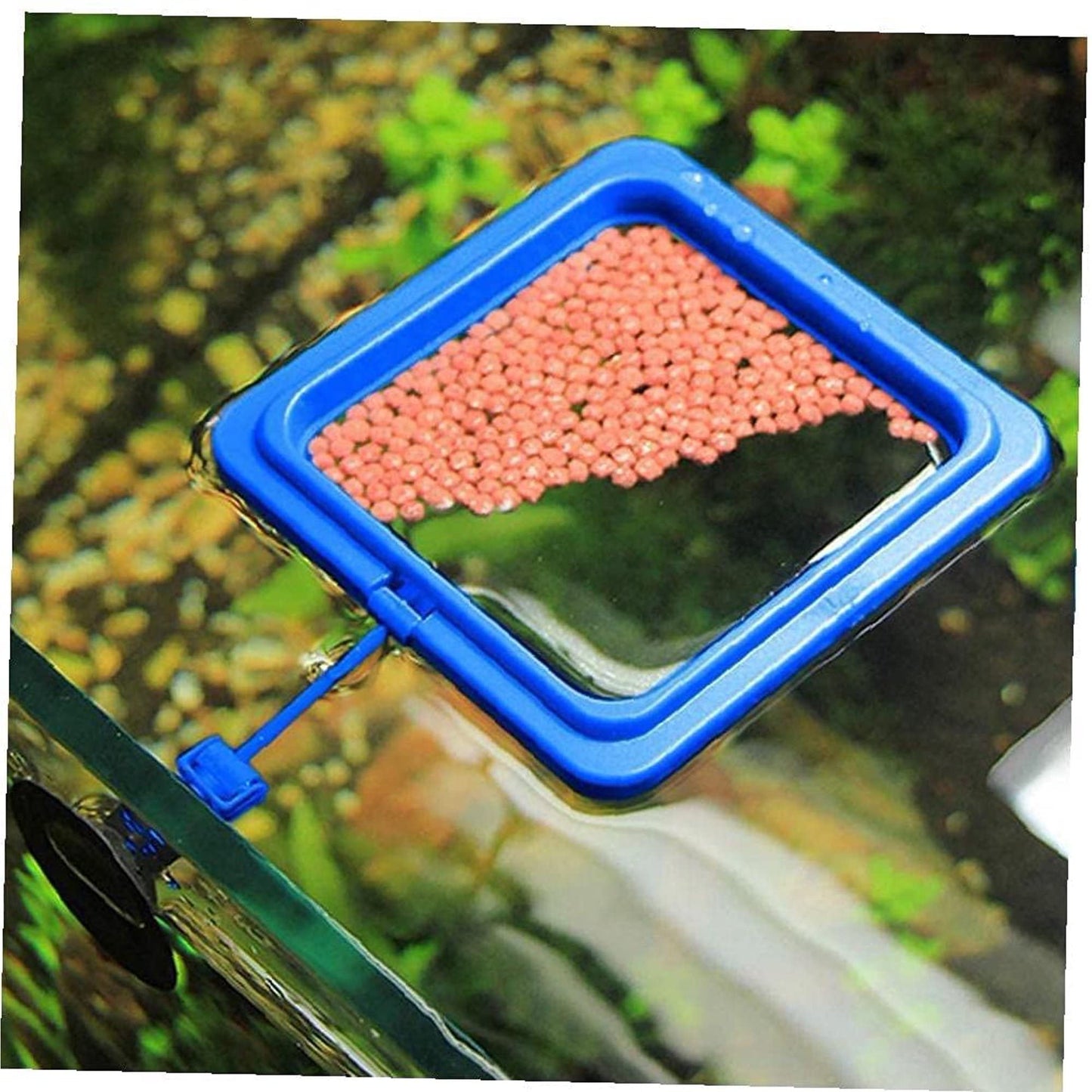 Food feeding Ring