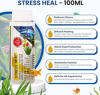 stress heal