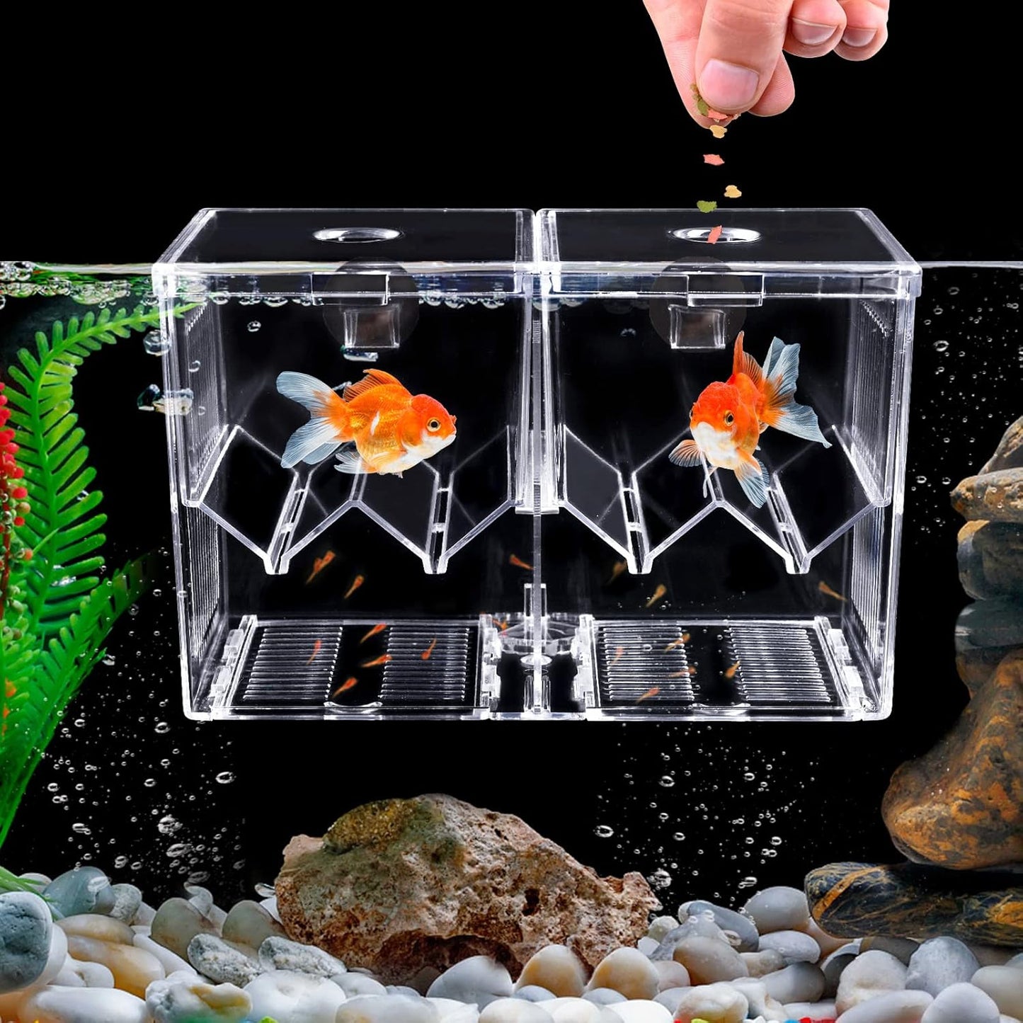 Isolation box / breeding box