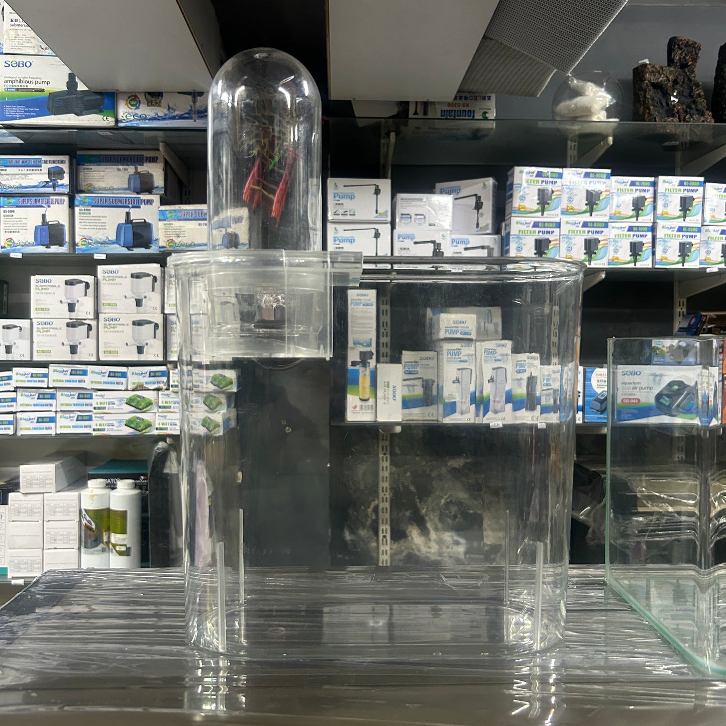 Bluepet BL 10V | betta tank | Floating aqua tower