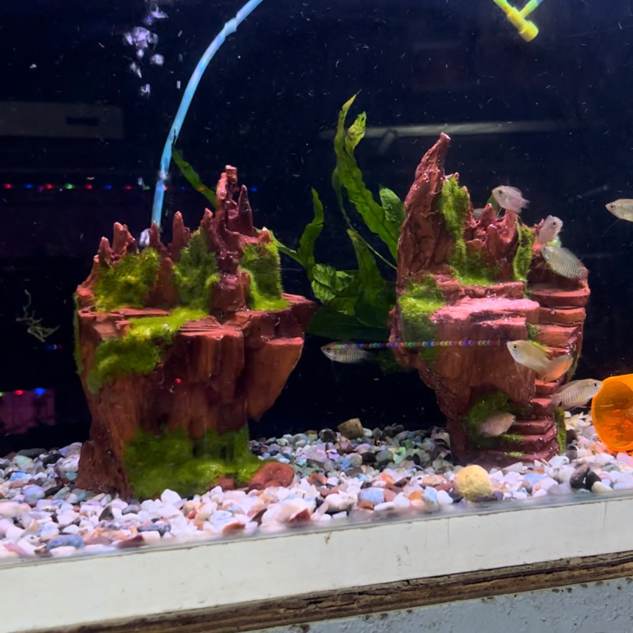 Decor Mountains | Hardscape