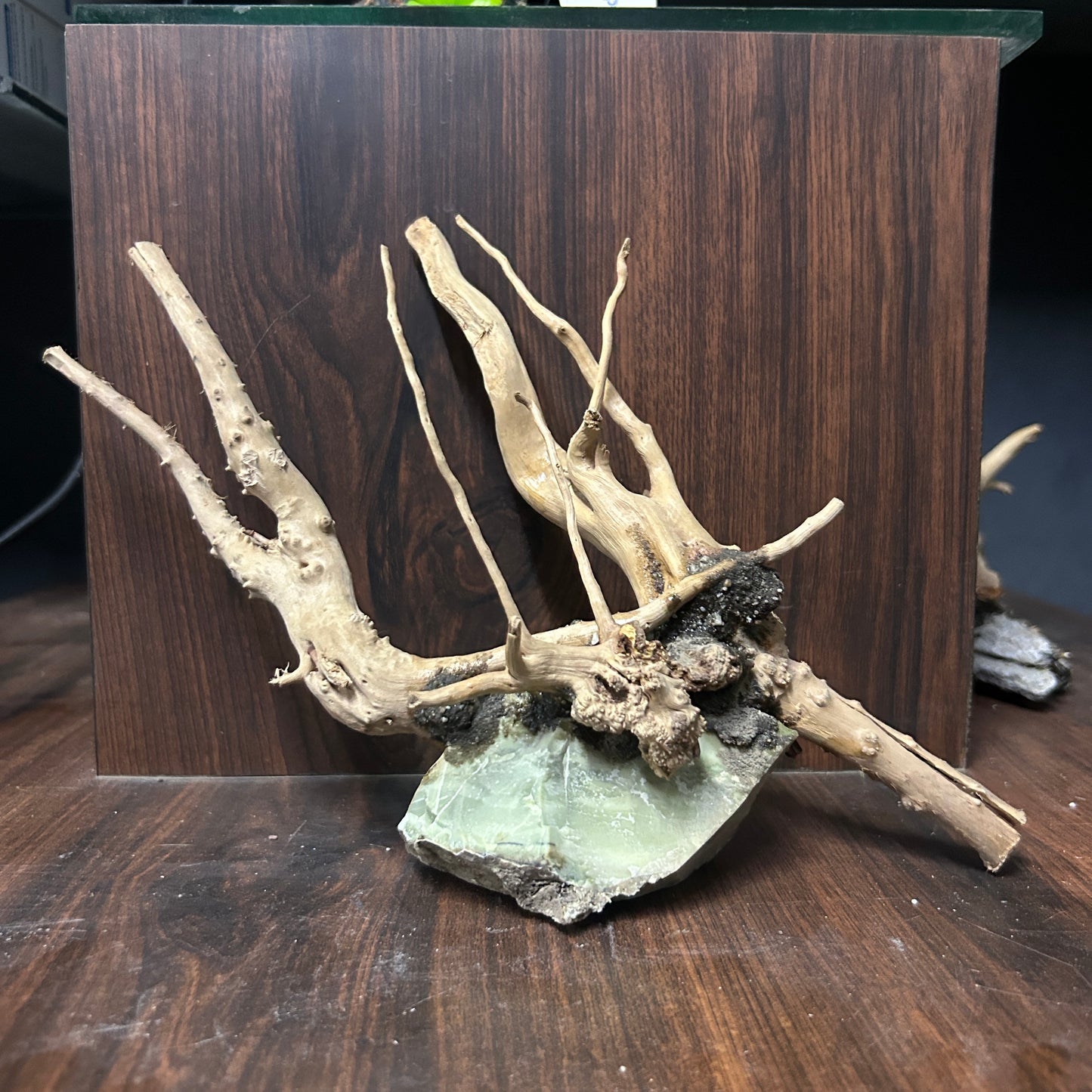 Customised Driftwood | small | Random design
