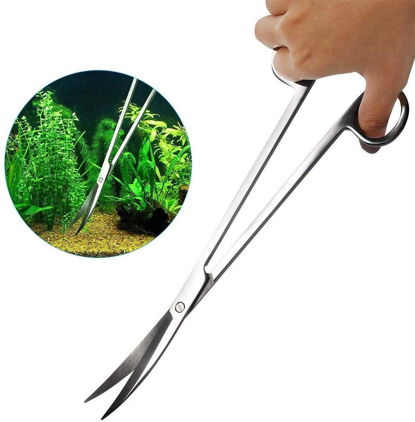 Plant cutting Scissor | Stainless