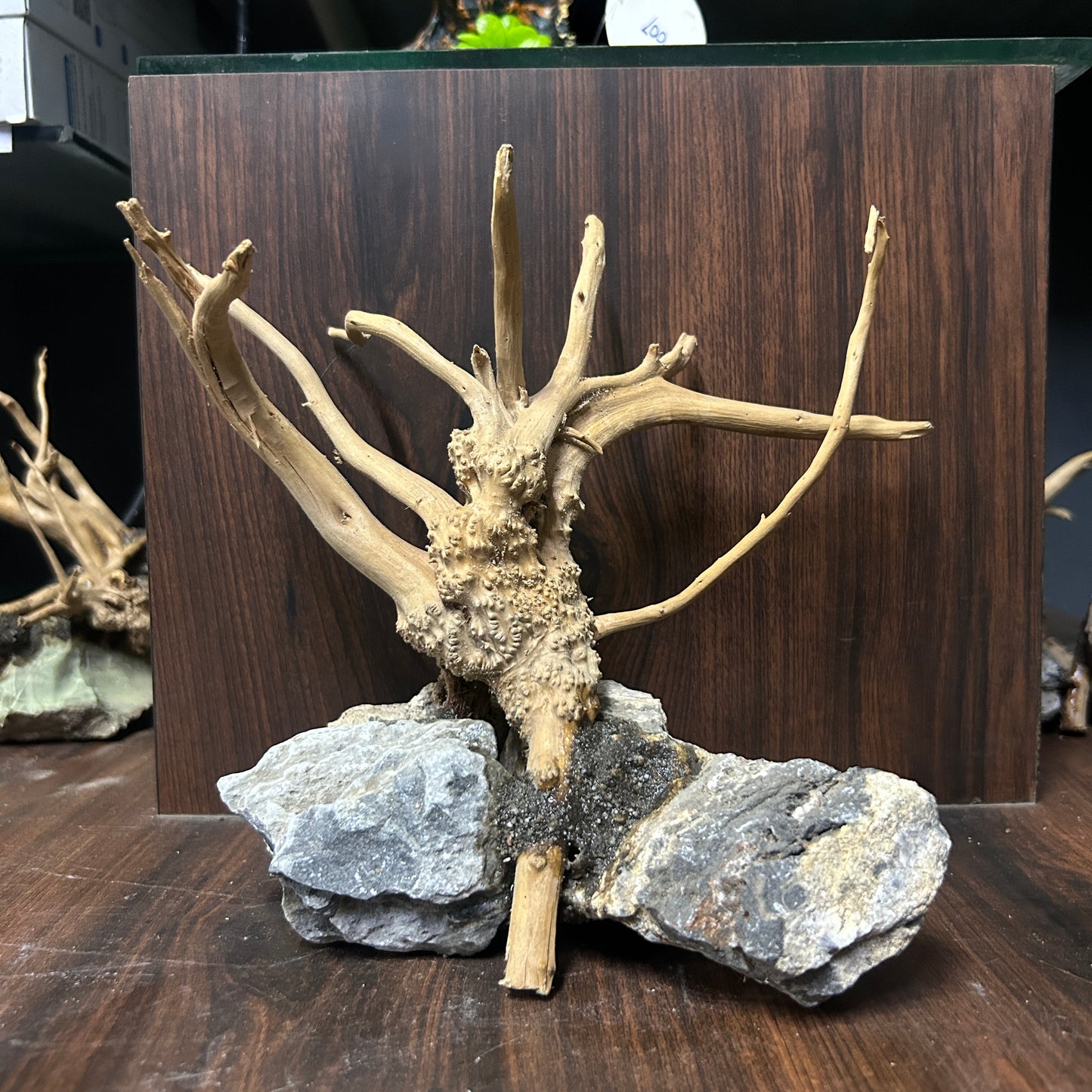 Customised Driftwood | small | Random design
