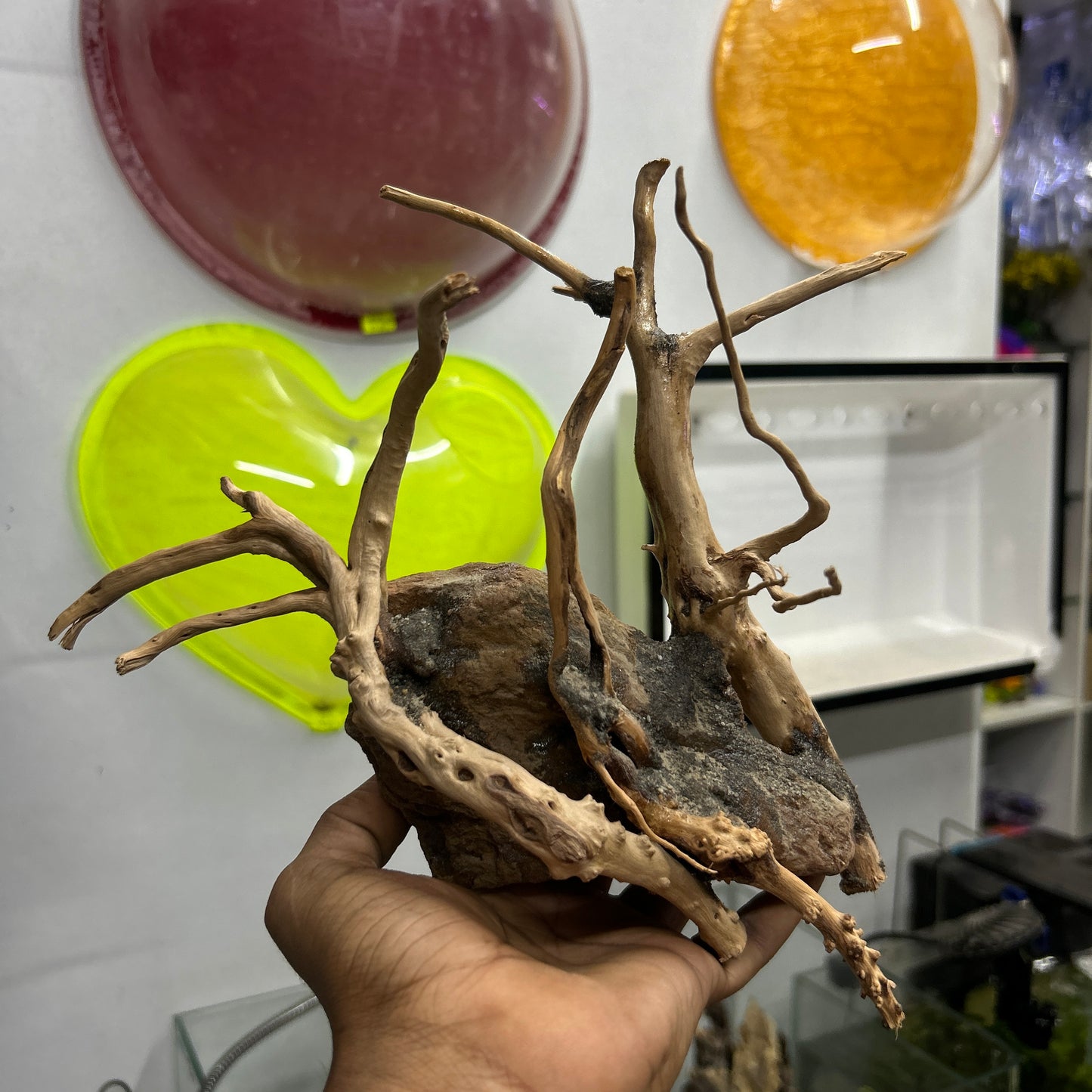 Customised Driftwood | small | Random design