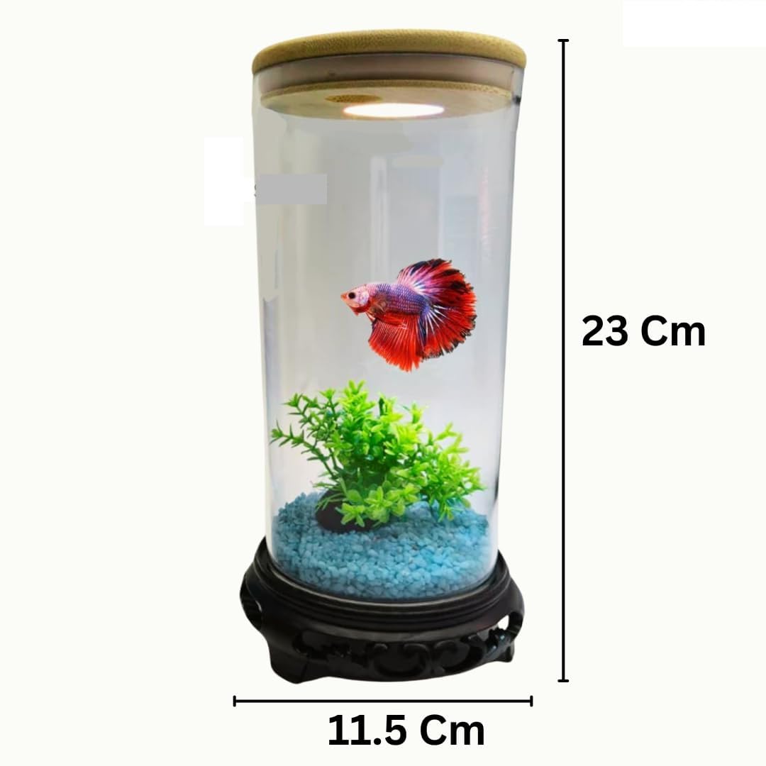 Bluepet TP 10 | Betta Tank | Mini Aquarium Combo