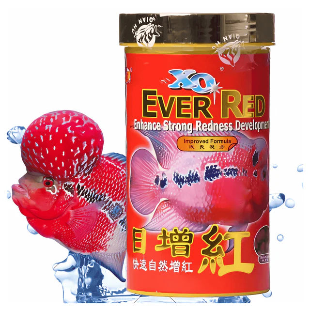 Ever Red from Ocean free