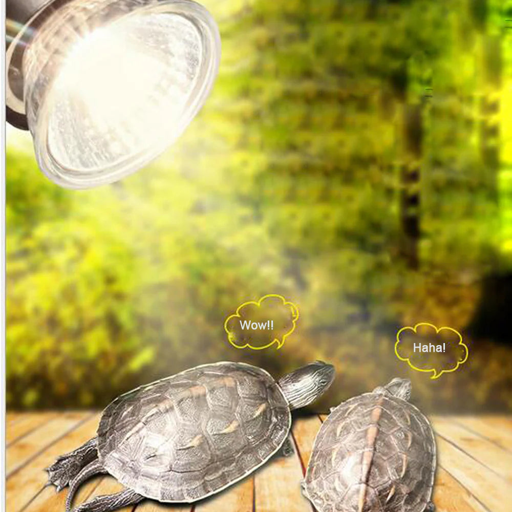 Turtle UV Lamp 50w with stand