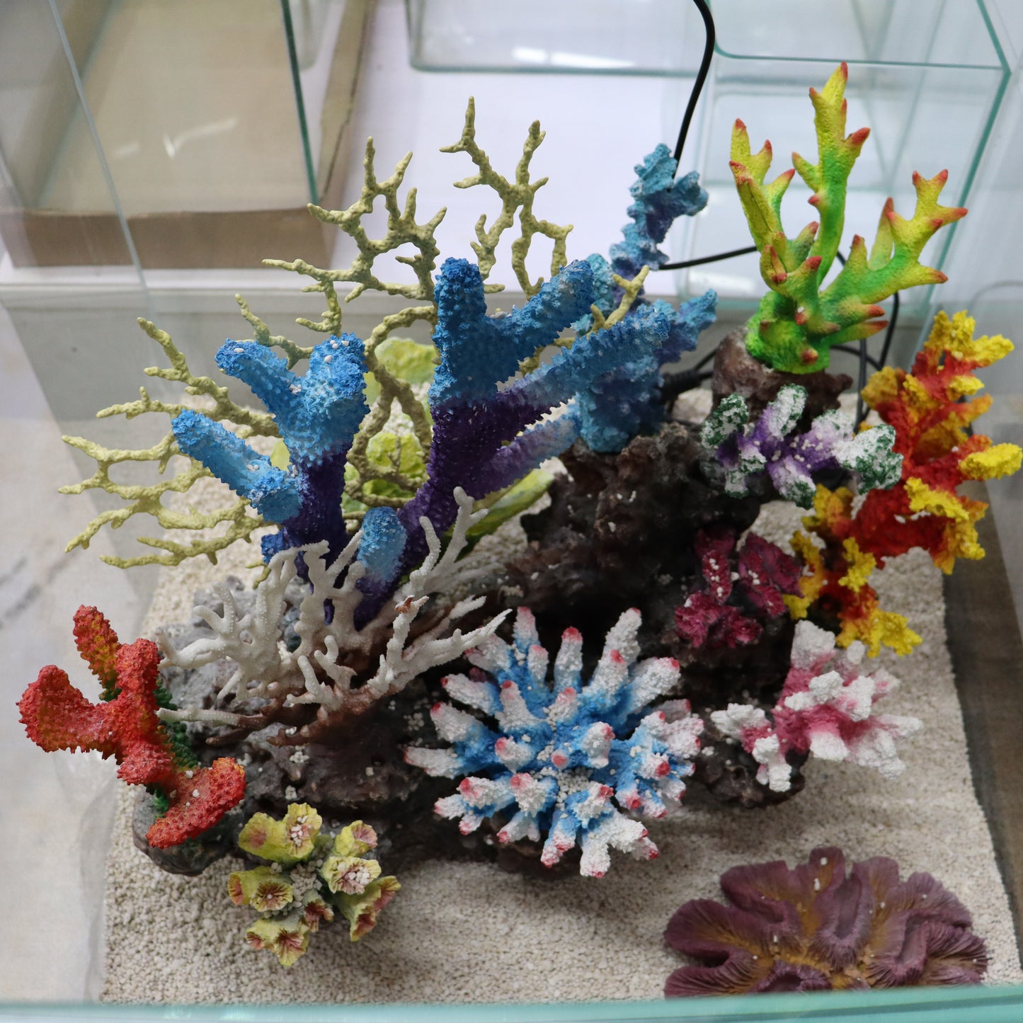 12 in 1 set Imported Coral