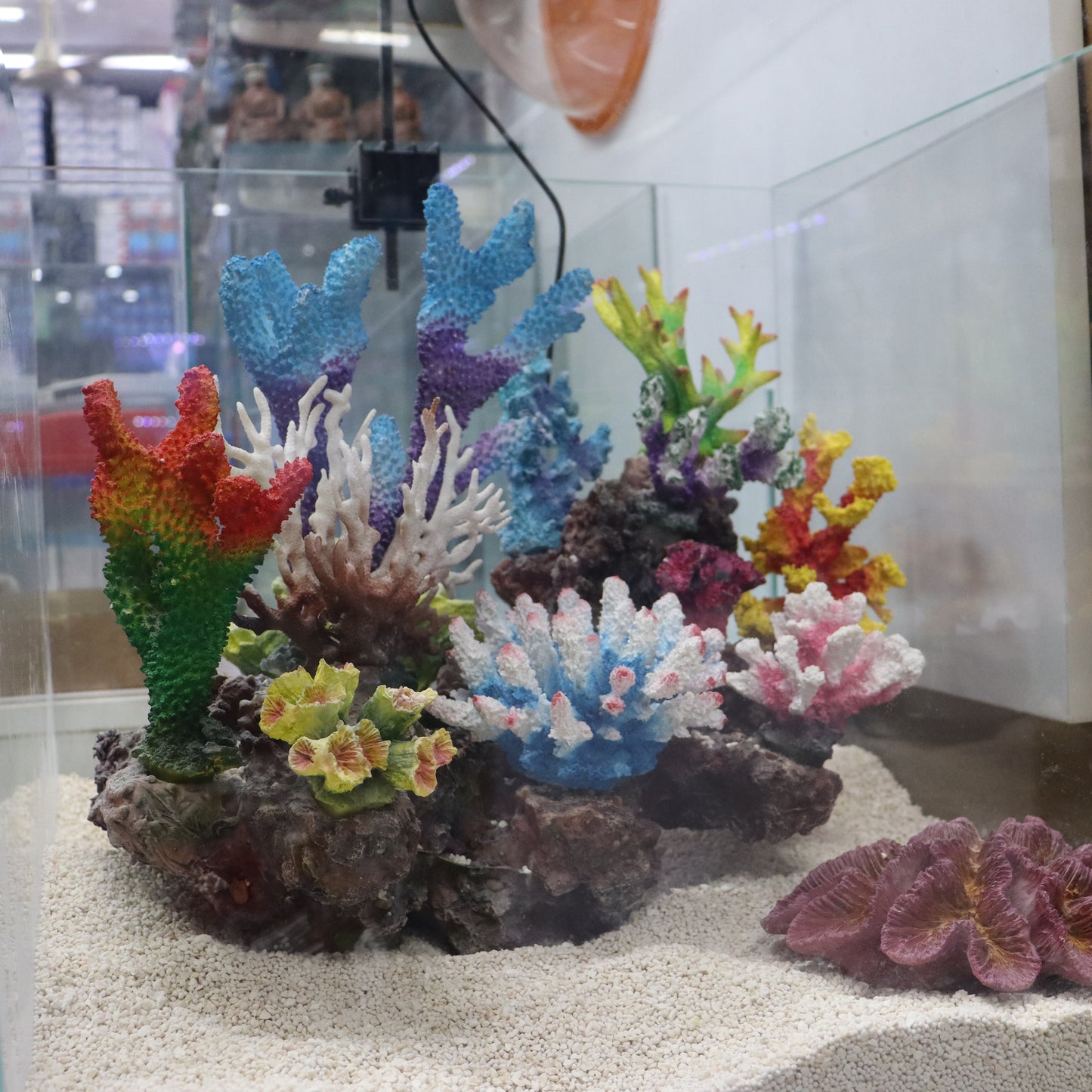 12 in 1 set Imported Coral