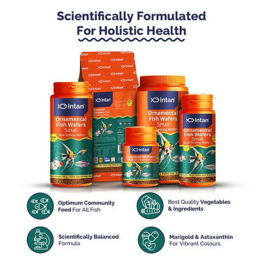 Intan Ornamental Fish Wafers (0.9mm dia)