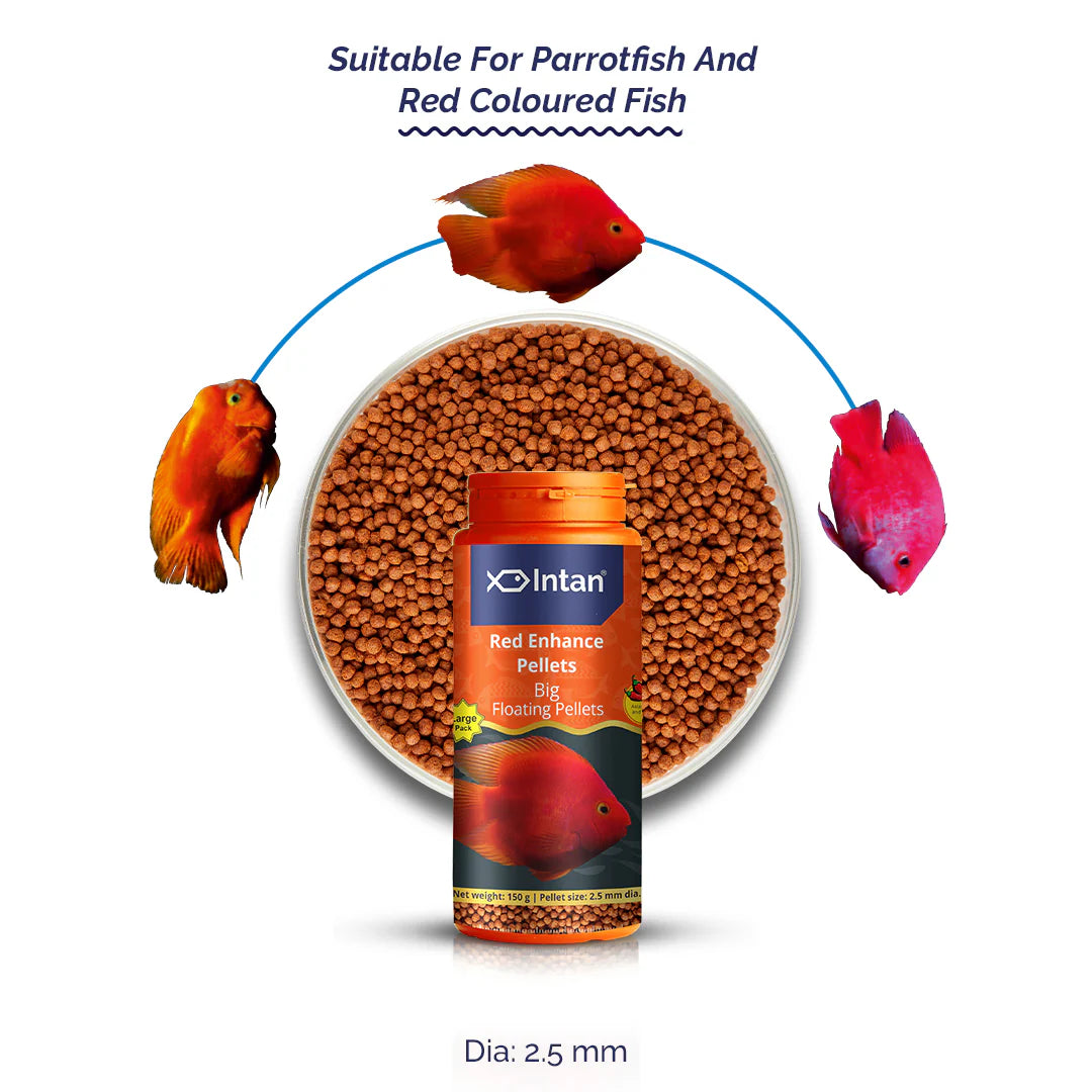 Intan Red Enhance Pellets (2.5mm dia)
