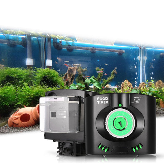Automatic food feeder | Warmtone food timer