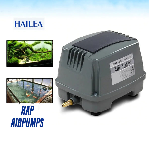 Hailea HAP 80