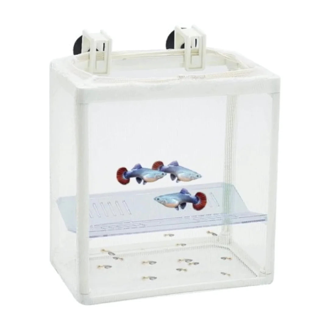 Dophin breeder box - BB 12