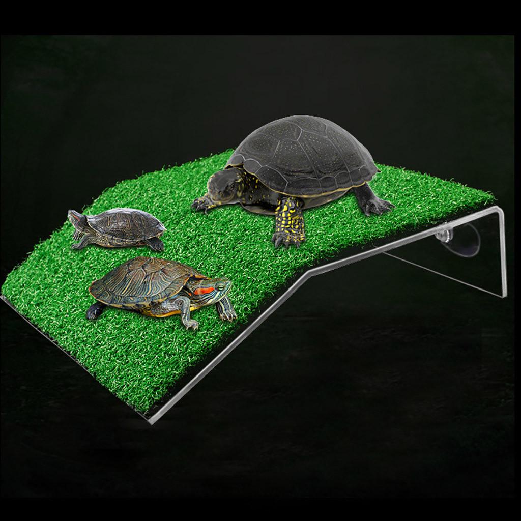 Turtle Roof terrace