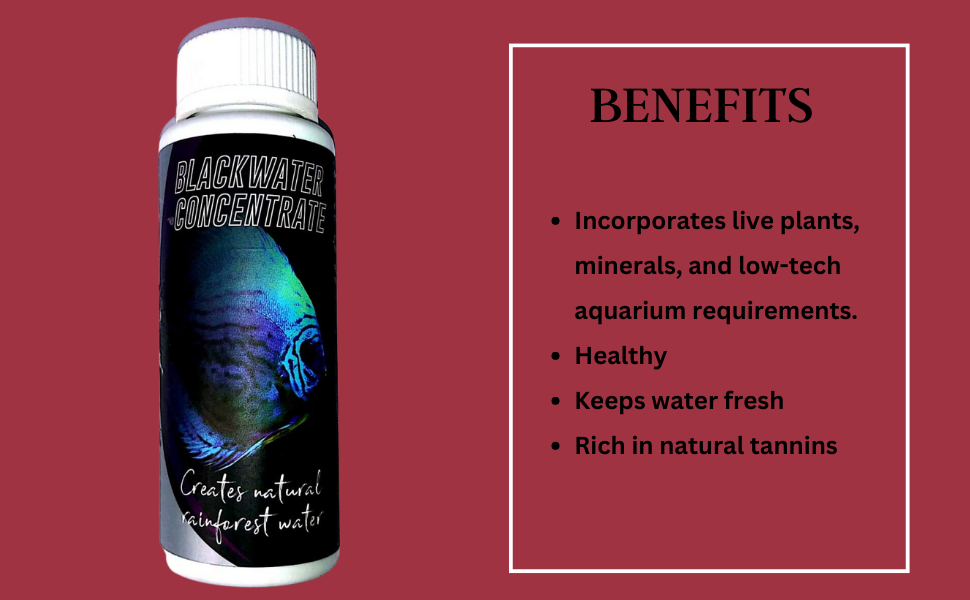 Black water concentrate